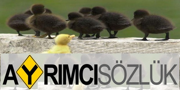 'Türkiye'de ırkçı, ayrımcı deyimler sözlüğü'