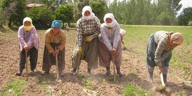 page_kadin-tarlaya-indi-issizlik-azaldi_160289089.jpg
