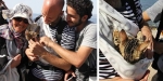 Barışın simgesi göçmen kedi Zeytin sahiplerinin kucağında Midilli'ye vardı