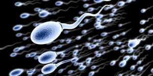 "Sperm sayısının mevcut oranda azalması insanlığın sonunu getirebilir"