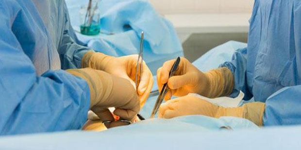 Bilim insanları: Çok yakında hayvanlardan insanlara organ nakli yapılabilecek