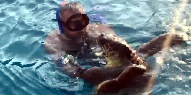 Caretta Caretta yine saldırdı