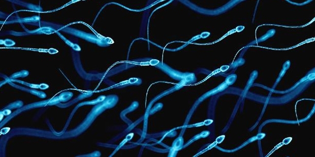 Ağrı kesici kullanımı erkeklerde kısırlığa sebep olabilir