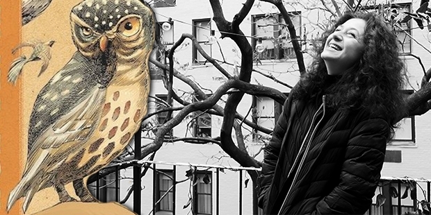 'Geçmiş gün leyleği', 'ejderha pelikanı', 'aniden kuşu'; Temelkuran'dan yeni kitap: Olmayan Kuşlar Ansiklopedisi