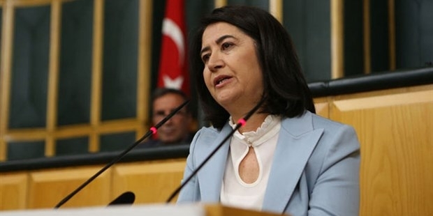 Eski HDP Eş Genel Başkanı Serpil Kemalbay gözaltına alındı