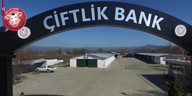 Çiftlik Bank Genel Müdürü'nden bayilere: Kandırıldım, başınızın çaresine bakın