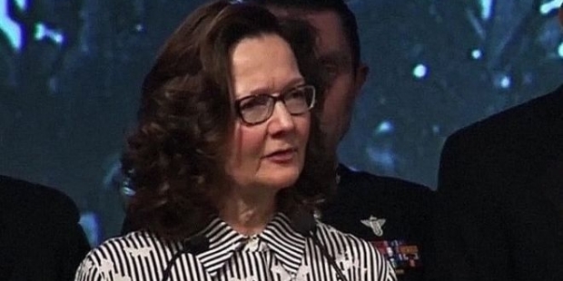 İşkence iddialarıyla gündeme gelmişti; CIA'in yeni direktörü Gina Haspel kimdir?