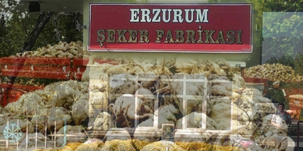 Erzurum Şeker Fabrikası ihalesine teklif veren olmadı