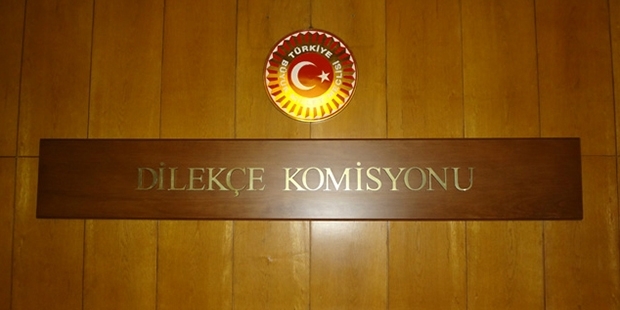TBMM Dilekçe Komisyonu'ndan: Kalıcı hasar bırakan doktorlar infaz edilsin, seks işçilerinden vergi alınsın...