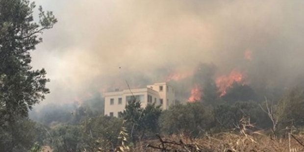 Bodrum'da otluk ve makilik alanda yangın çıktı