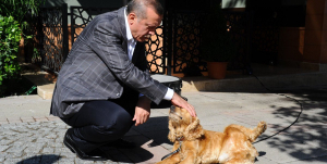 Erdoğan: Bu yasa hâlâ niye bekliyor?