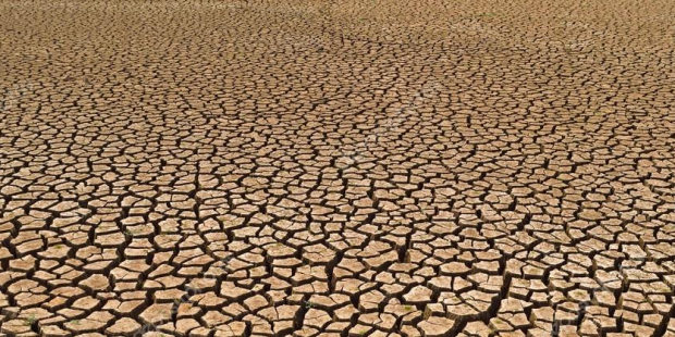 Türkiye'de topraklar tarım dışı bırakılıyor; hükümet Sudan'dan 780 bin 500 hektar arazi kiralıyor