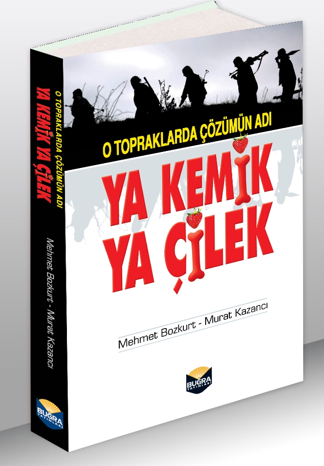 Ya Kemik Ya Çilek, Buğra Yayınları, 288 s., 2015