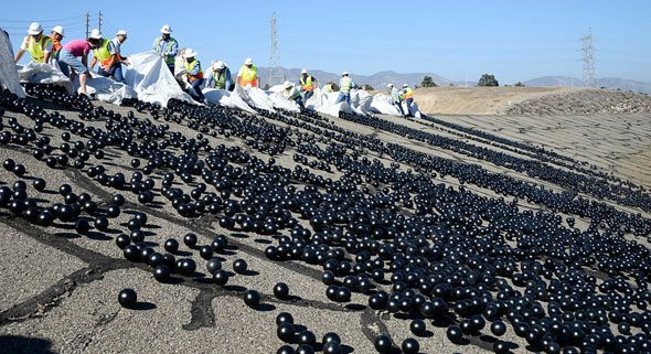 96 milyon elma büyüklüğündeki siyah top baraja bırakıldı