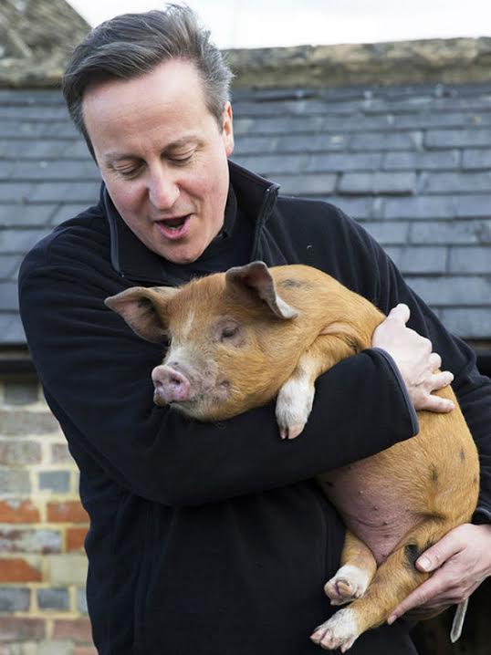 Cameron'ın bir domuzla çektirdiği bu fotoğraf Twitter’da çok popüler oldu