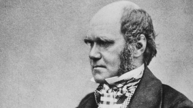 Charles Darwin'in zekası, statüsü ve nüfuzu kel insanlarla ilgili algıyla örtüşüyor