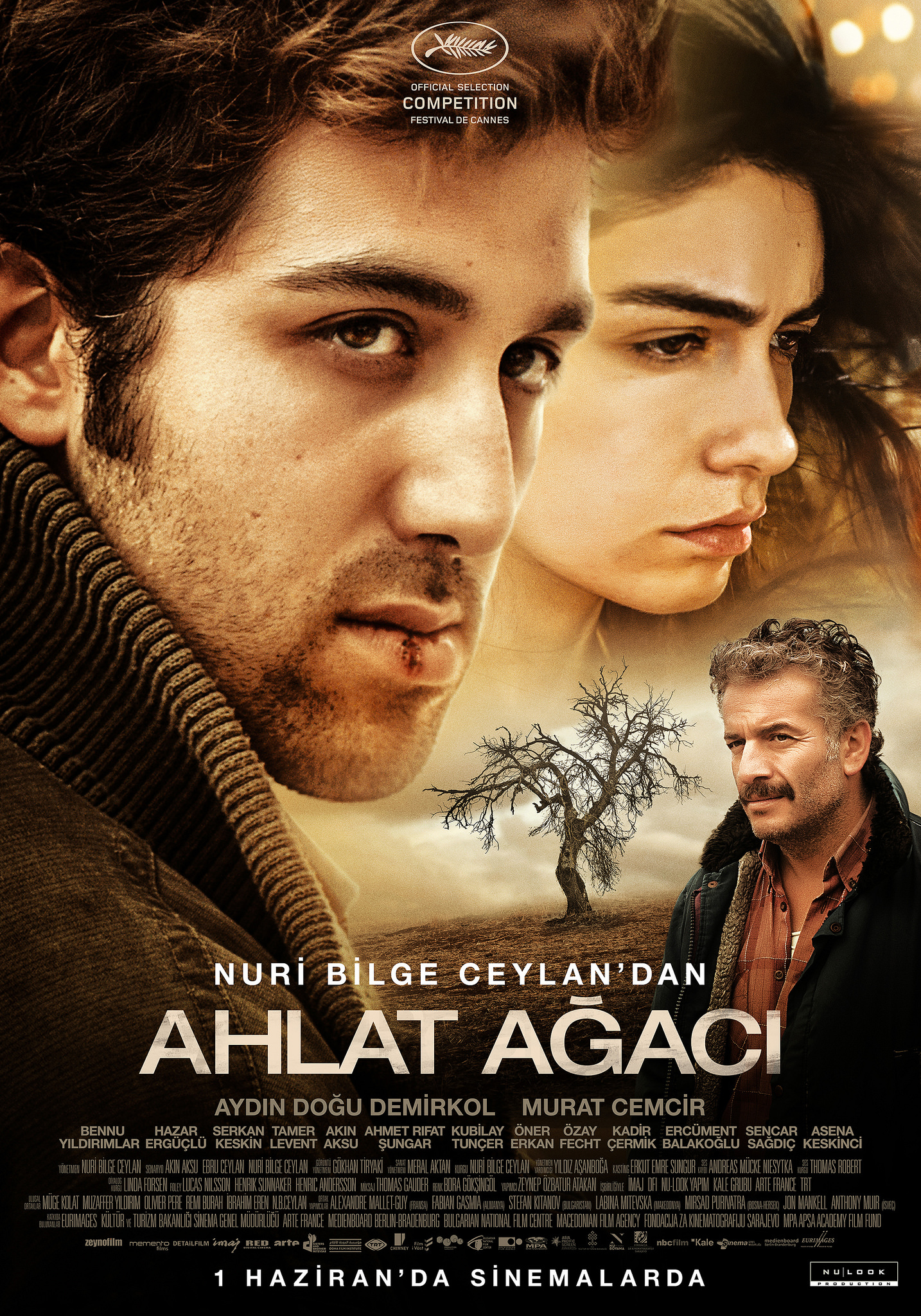 Ahlat Ağacı, Yönetmen: Nuri Bilge Ceylan, 2018