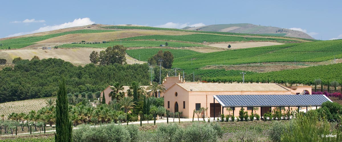 İtalya'nın ilk güneş enerjili şaraphanesi Sicilya'da kurulmuştu.