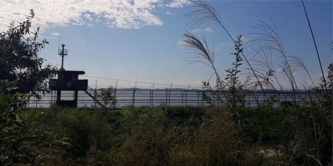 Kuzey Koreli bir asker, yüksek güvenlikli sınırdan Güney Kore'ye geçti