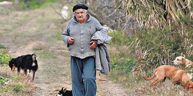 Uruguay'ın efsanevi başkanı Jose Mujica, tedaviye devam etmeyeceğini duyurdu: Vücudum dayanmıyor, köpeğimin yanına gömülmek istiyorum