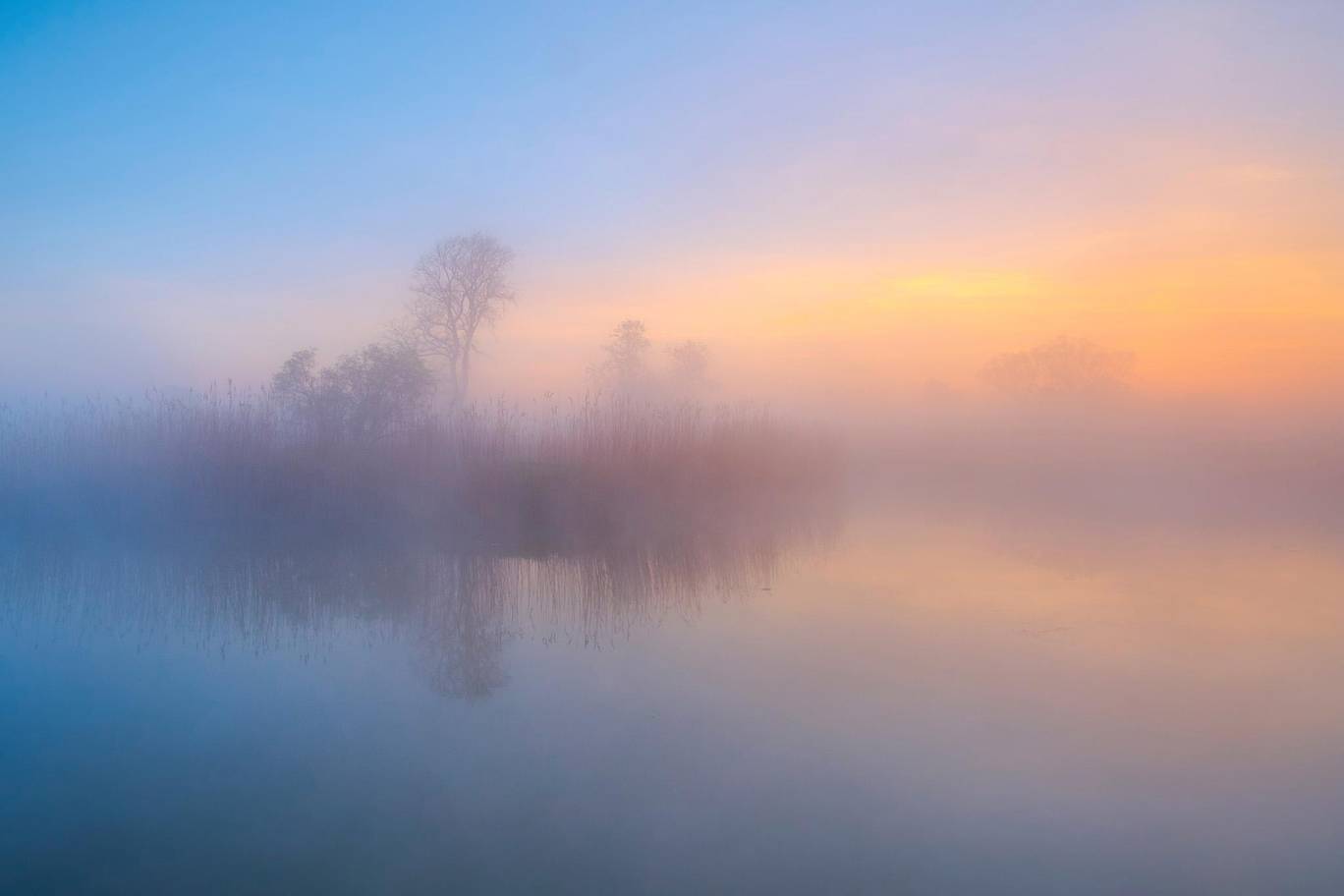 Manzara Kategorisi: Elbe Vadisi'nde sisli bir sabah- Kevin Pronnecke