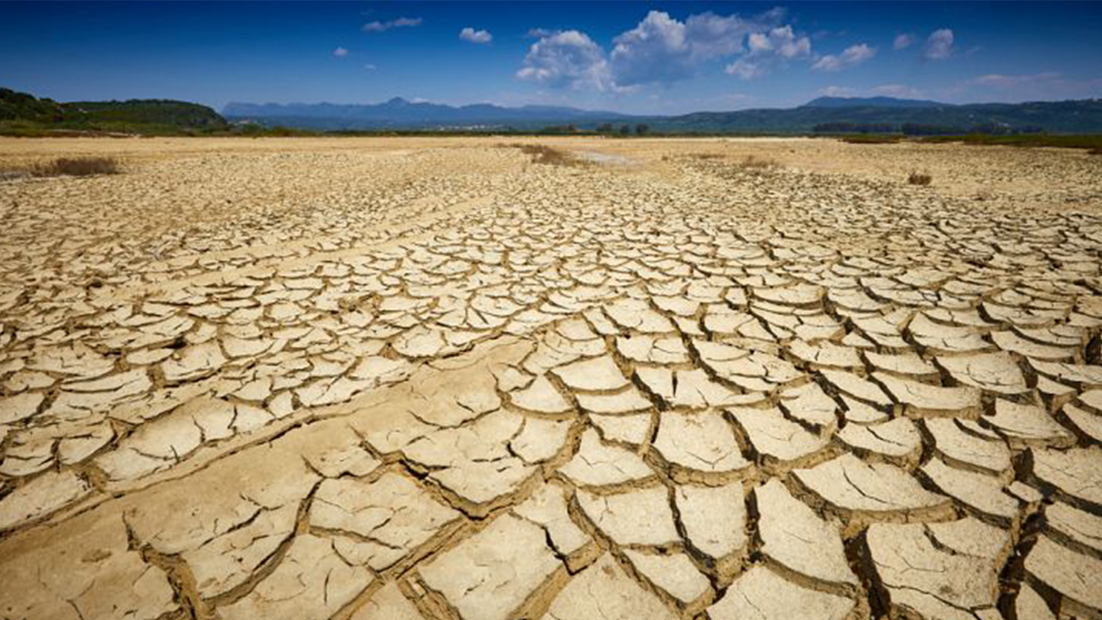 Атмосферная засуха. Засуха. Засушливая местность. Сухая земля. Засушливый климат.