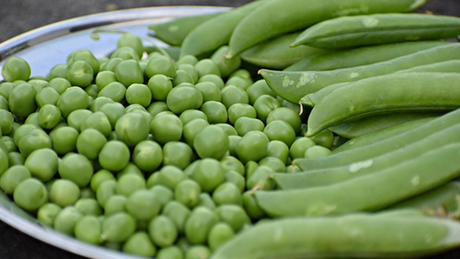  10. Bezelye 77 kalori (100 g) Besin puanı: 67 Bezelyede çok mitarda fosfor, magnezyum, demir, çinko, bakır ve lif vardır.