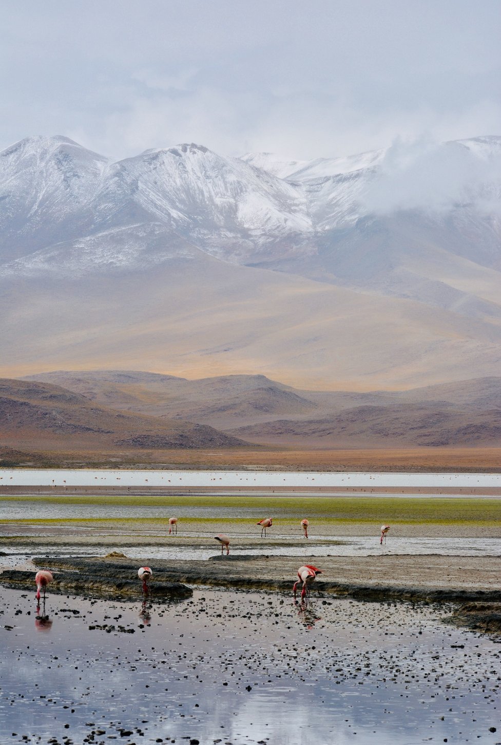 
                    Bu fotoğraf Bolivya'da çekildi. Dört gün boyunca Altiplano'nun bir ucundan diğer ucuna araç kullandık. Yol boyunca kar, şimşek, bora ve güneşle karşılaştık. O yolculuktan en çok bu fotoğrafı seviyorum, fırtına sonrası sessizliği gösteriyor
                