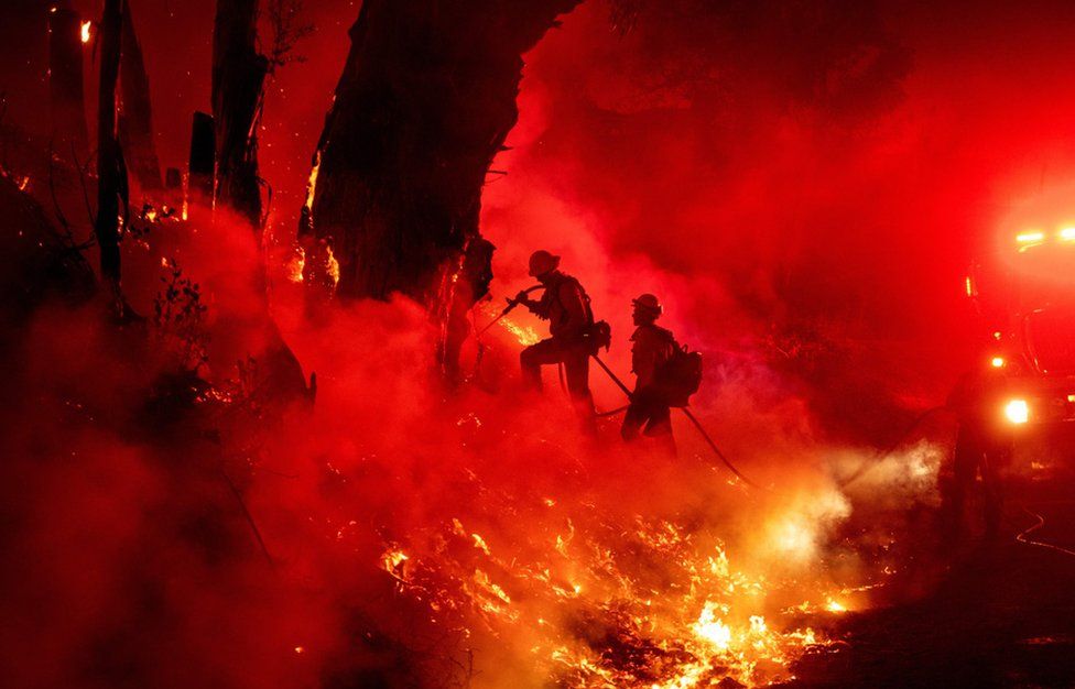 
                    Firefighters work on a back-fire in an attempt to control the Maria fire, in Santa Paula, California, in November. Nearly 100,000 acres (400 sq km) have been burned by wildfires and thousands of people have had to leave their homes.
                