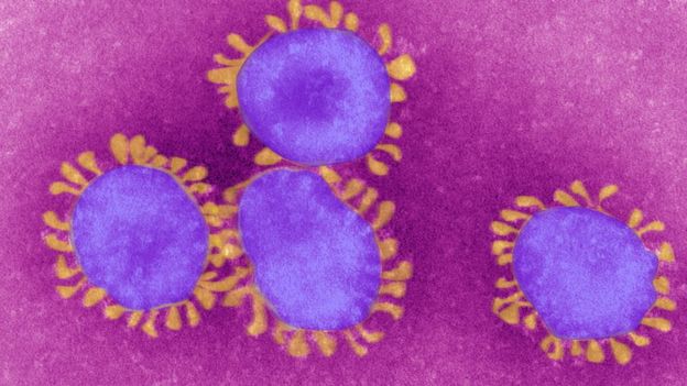 Koronavirüs nedir: Kovid-19 belirtileri neler, Türkiye'de vaka var mı?