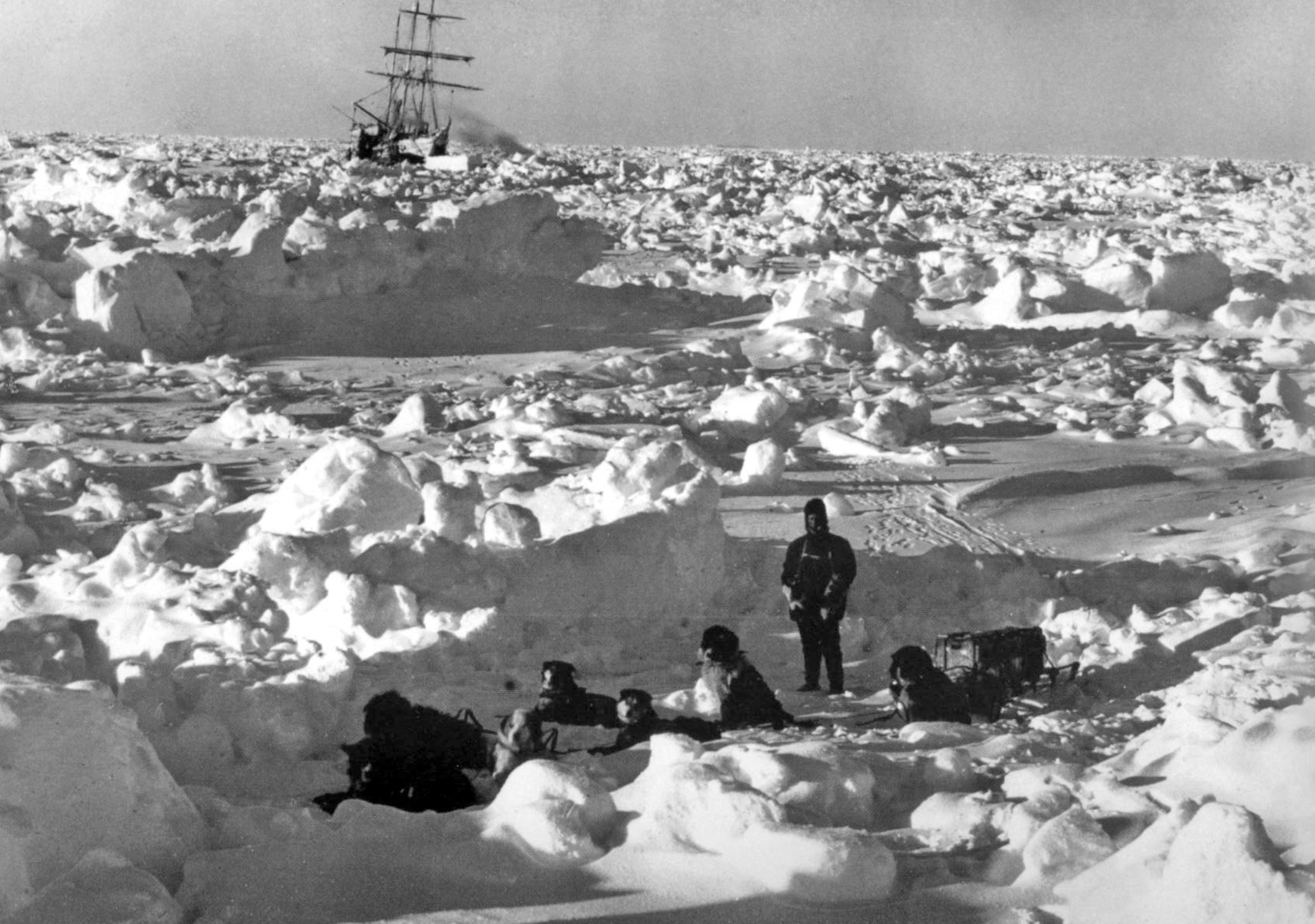 В середине 20 века антарктида. Шеклтон Антарктида. Ernest Shackleton 1914 Expedition. Австралийская антарктическая Экспедиция. Мазурук 1957 Антарктида.