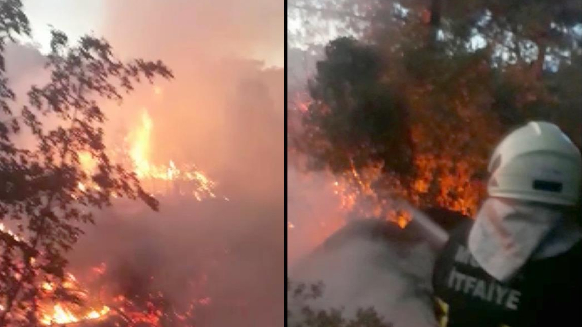 Fethiye De Ormanlik Alanda Cikan Yangin Sonduruldu