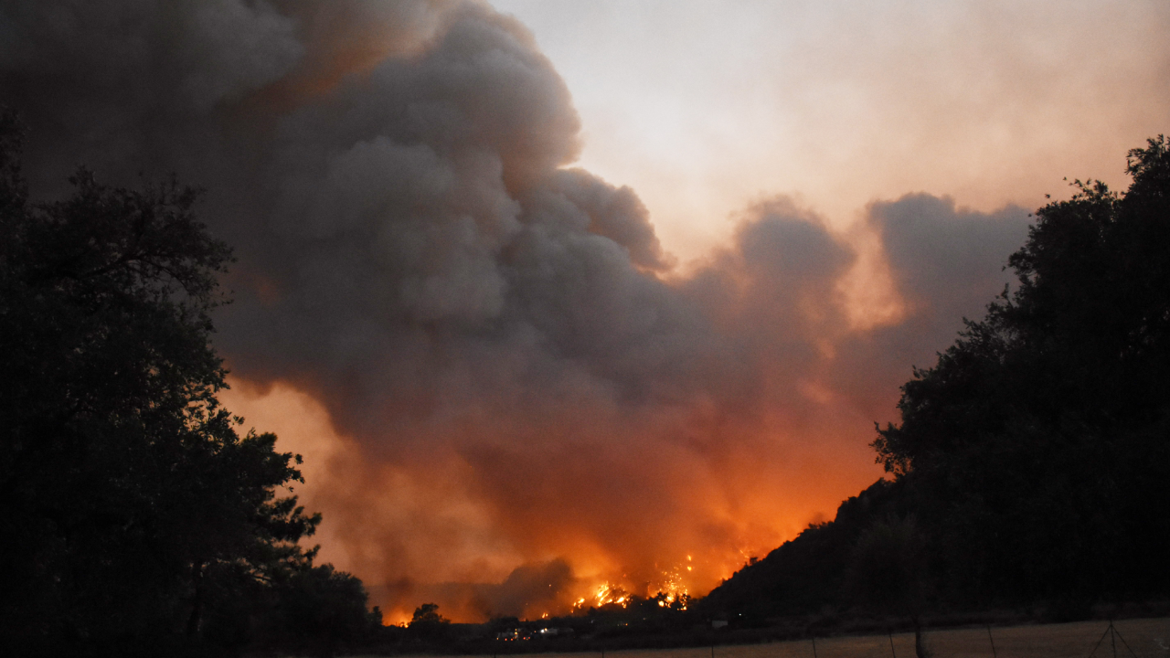 Türkiye, orman yangınlarıyla mücadelesinde 7'nci günde: Antalya, Muğla ve  Isparta'da yangınlar sürüyor