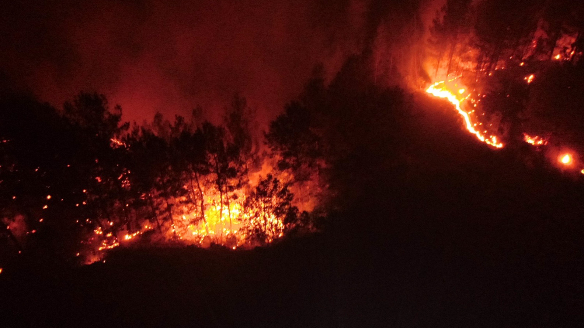 Muğla'da alevlerle mücadele gece de sürdü