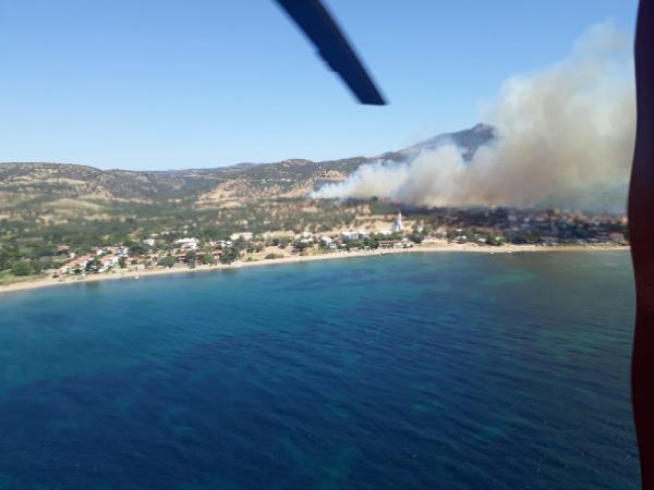 Antalya ve Çanakkale'de orman yangını