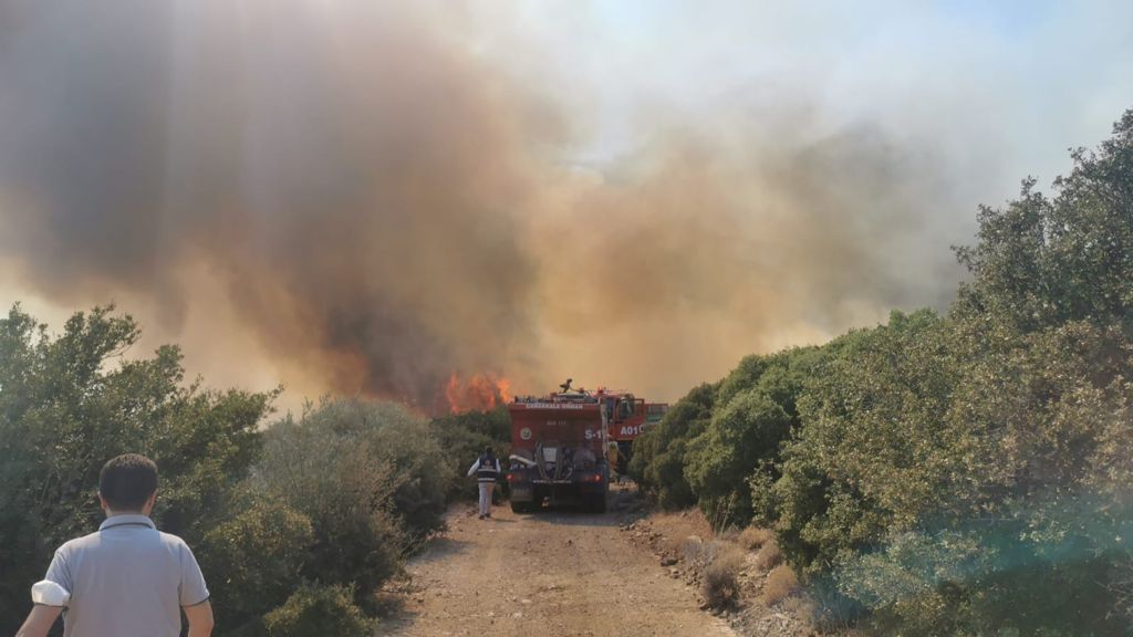 Muğla ve Çanakkale'de orman yangını