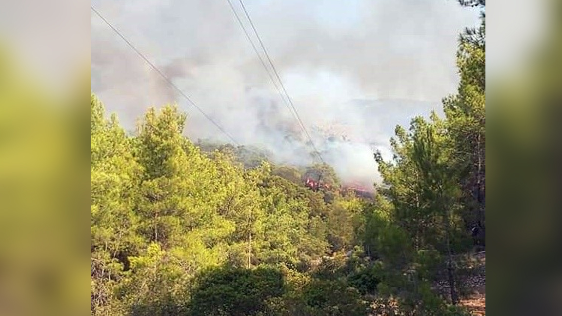 Muğla ve Çanakkale'de orman yangını