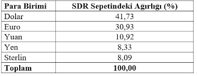 Mahfi Eğilmez yazdı: IMF'nin SDR tahsisleri ve Türkiye'nin durumu