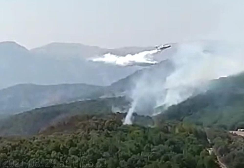 Tunceli Valisi: Kentte 4 noktada devam eden yangının 3 noktası büsbütün söndürüldü