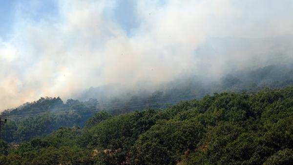 Munzur Vadisi Ulusal Parkı ve Bingöl’deki orman yangını 3. gününde