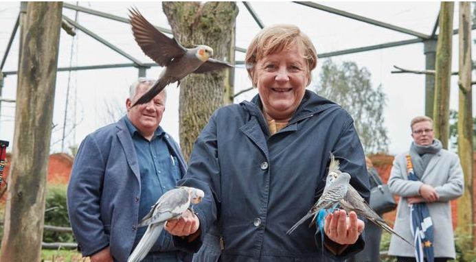 Merkel'den veda tipleri: Kuş parkını ziyaret etti; papağanlarla poz verdi