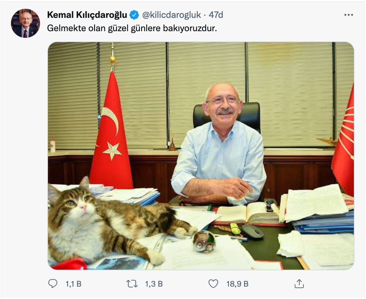 Kılıçdaroğlu'ndan 4 Ekim Hayvanları Müdafaa Günü'nden kedili paylaşım