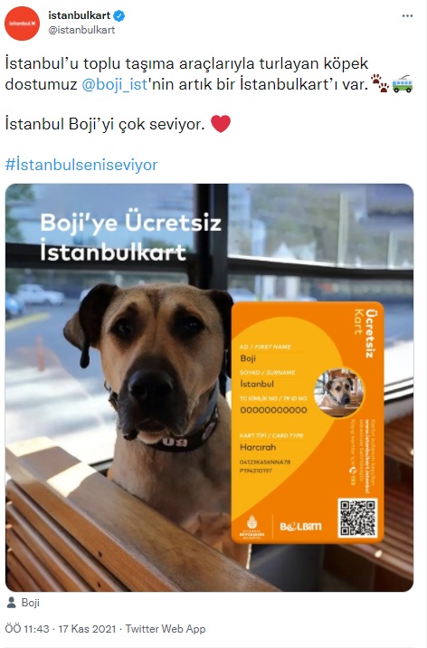 Boji’nin artık İstanbulkart’ı var