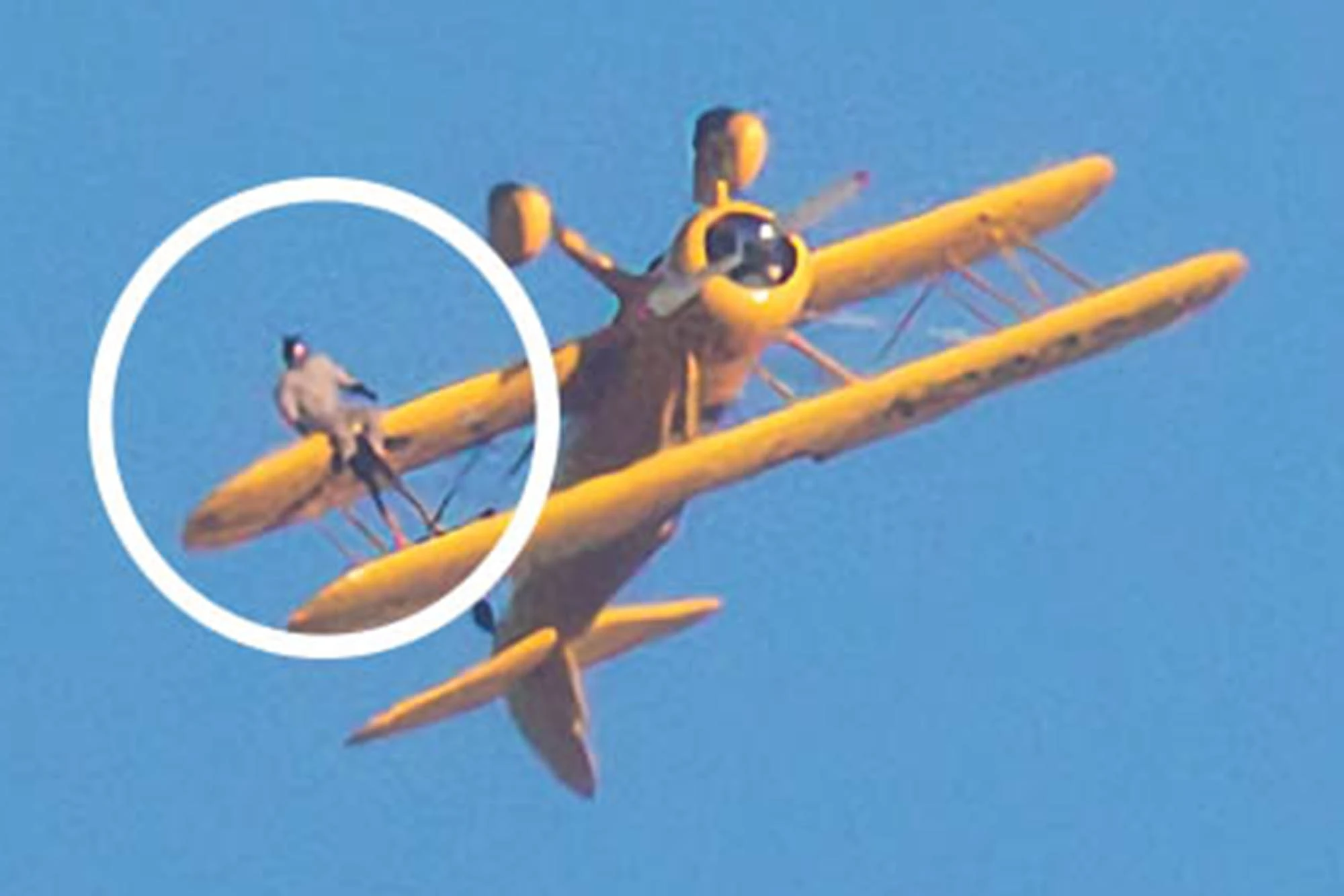 Crusie’un kanada asıldığı anlarda uçağın 600 metre yükseklikte olduğu belirtildi.