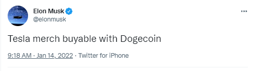 doge coin- musk