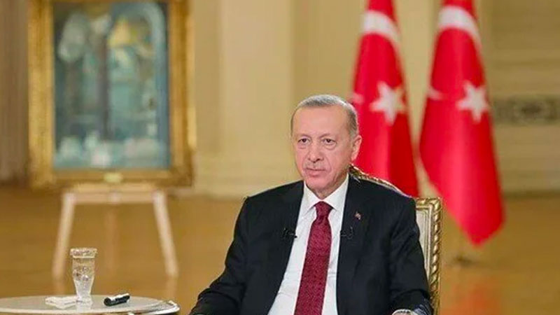 Erdoğan*