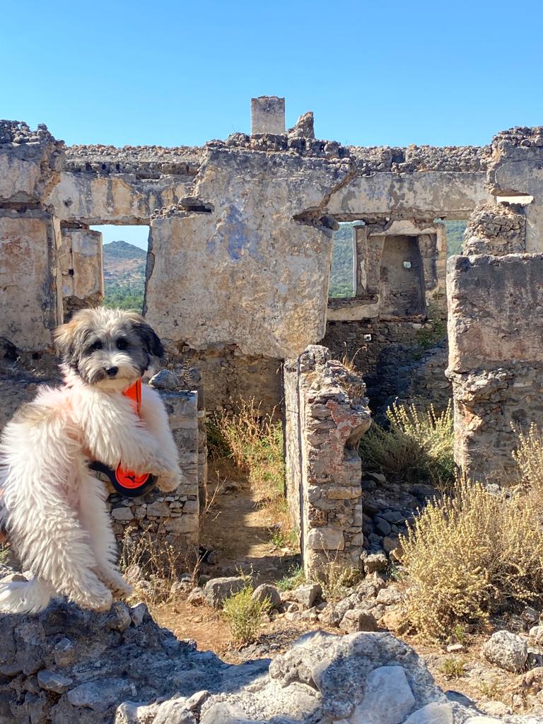 Türk Gelin Yalnız Kalmış Gizli Çekim