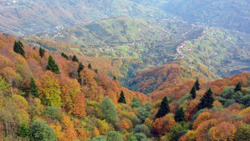 Hıdırnebi Yaylası Ekoturizm Yolu (Trabzon)  Trabzon’da yer alan Hıdırnebi Yaylası Ekoturizm Yolu, özellikle yaz aylarında yerli-yabancı çok sayıda turistin akınına uğruyor. Zengin bitki örtüsü ve ormanlarıyla fotoğraf meraklılarının da gözdesi olan Hıdırnebi, doğa turizmi sevenler için biçilmiş kaftan.