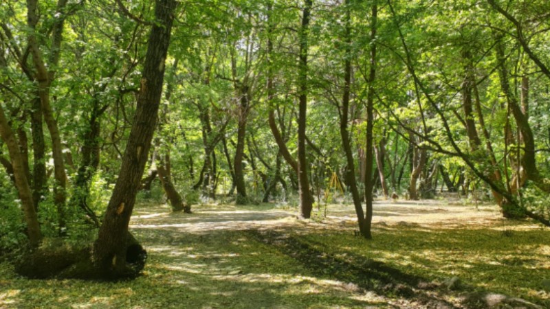 Kavakarası Sığla Ekoturizm Alanı (Muğla)  Farklı kuş türleri, zengin bitki örtüsü, göl ve sulak alanlarıyla dikkat çeken Kavakarası Sığla Ekoturizm Alanı Muğla-Köyceğiz’de bulunuyor. Yerli ve yabancı turistler tarafından ilgi gören ekoturizm alanında balıkçılık, fotoğrafçılık, doğa turizmi, dağ bisikleti ve bilimsel tur gibi pek çok seçenek mevcut.