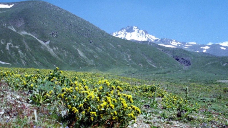 Sakarçiftliği (Erciyes Kavak) Ekoturizm Alanı (Kayseri)  Kayseri’de yer alan Sakarçiftliği Ekoturizm Alanı’nda doğa yürüyüşü yapmak için toplam 27 kilometrelik bir parkur bulunuyor. Ekoturizm alanı fotoğrafçılık, doğa turizmi, doğa sporları, dağ bisikleti, bilimsel tur ve spor etkinliği yapmak isteyenler için iyi bir seçenek.